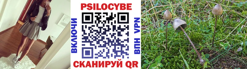 KRAKEN маркетплейс  Гдов  Псилоцибиновые грибы Psilocybe 
