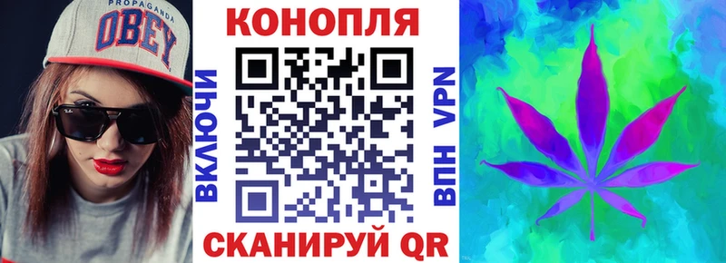даркнет сайт  OMG как зайти  Марихуана план  Гдов 